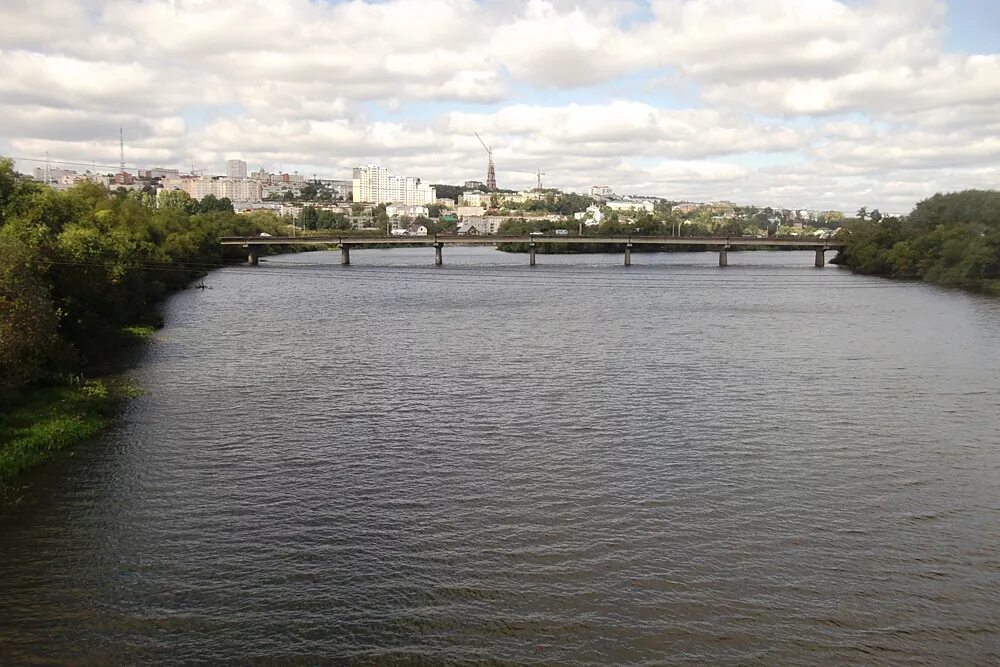 Вода в реке сура. Река Сура Пенза. Речка Сура Пенза. Река Сура в Пензенской области. Пенза Волга река.