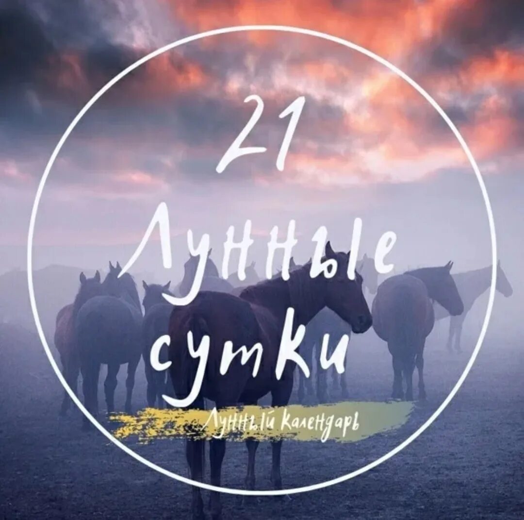 Символ 21 лунного дня. 21 Лунный день характеристика. 1 Лунные сутки. 21 Лунный день Луна. Первые лунные сутки 2024