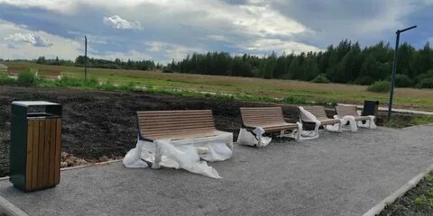 Березовая роща цб