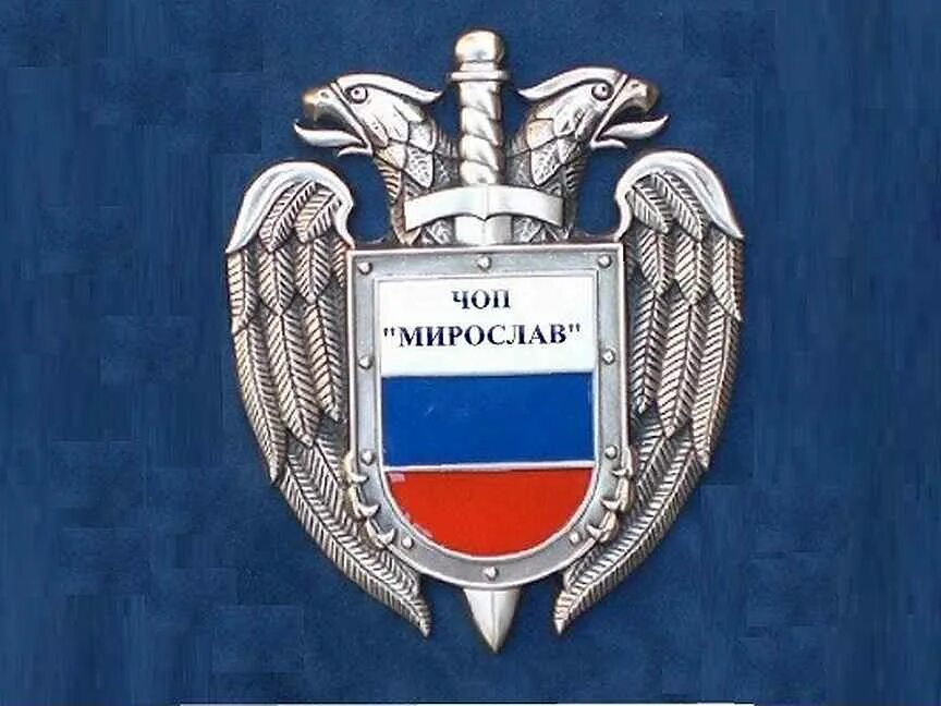 Ростов авито охрана. Ростов авито охрана. Ростов авито охрана. Смешные фото охранников. Охранник в коттеджный поселок.