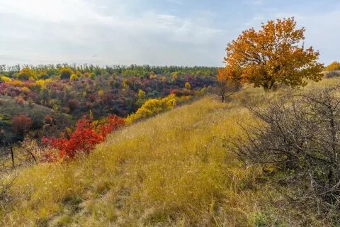 Ростовская область осенью