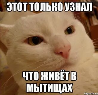 Кто же там сидит