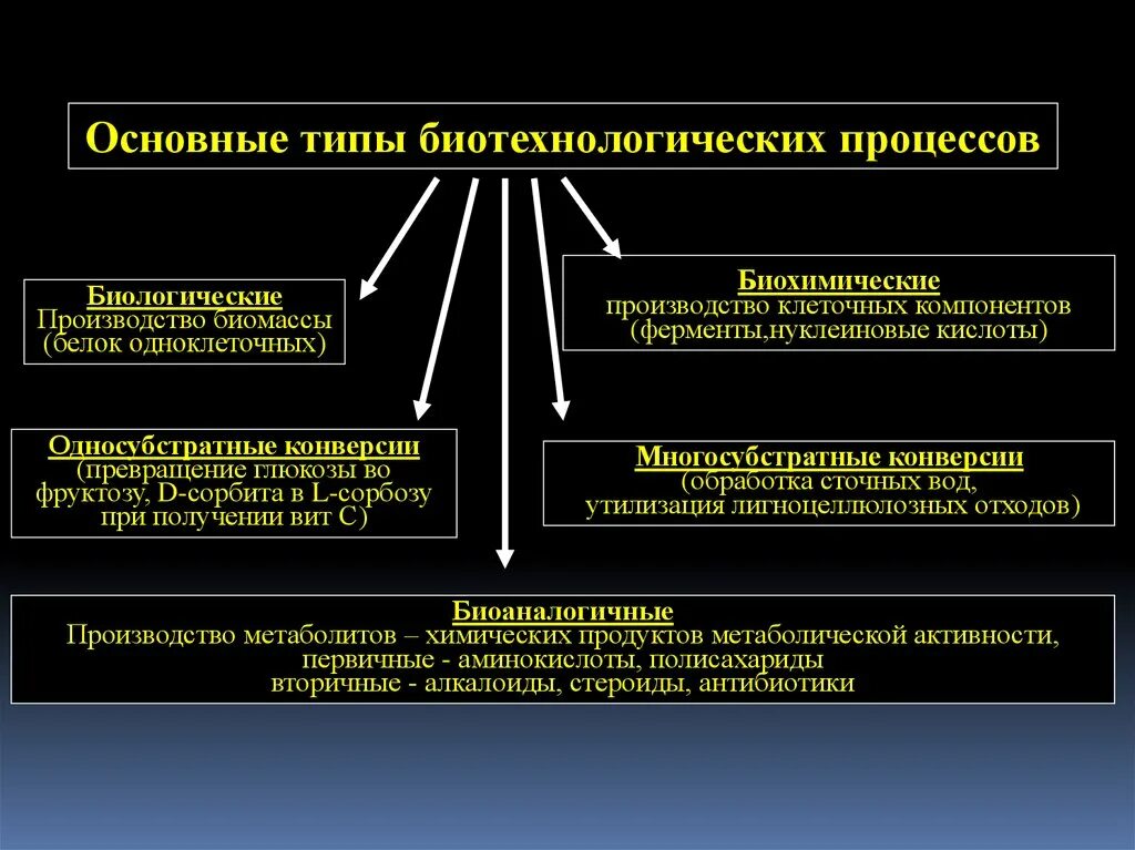 Что является биологическим процессом. Основные биологические процессы ЕГЭ. Важнейшие биологические процессы. Основные типы биотехнологических процессов. Виды биологических процессов.