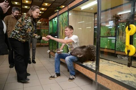 Контактный зоопарк самара