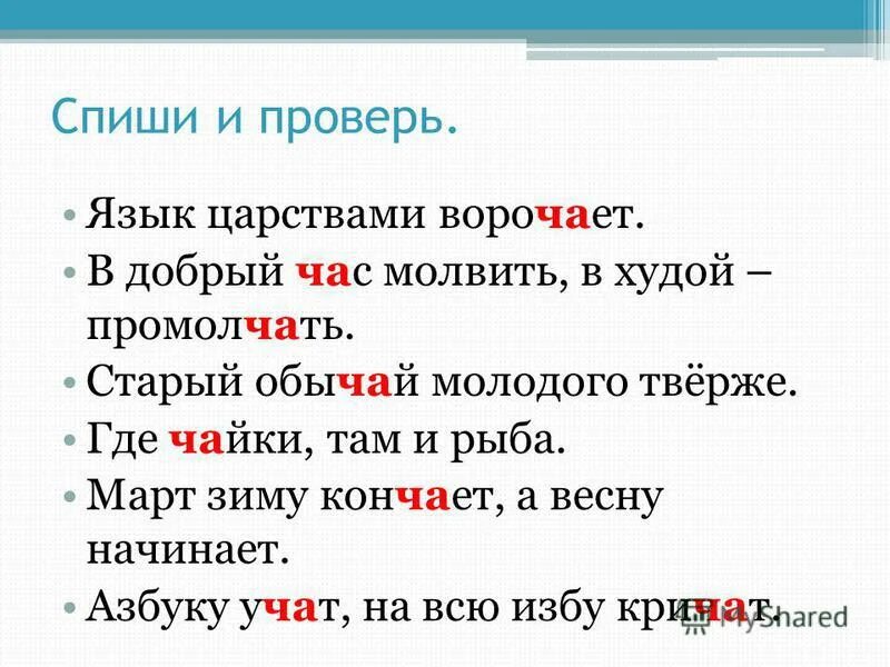 Добрый час программа. Активное долголетие в подмосковье для пенсионеров. Добрый час программа. Щелковская ледовая арена расписание. Активное долголетие проект губернатора.