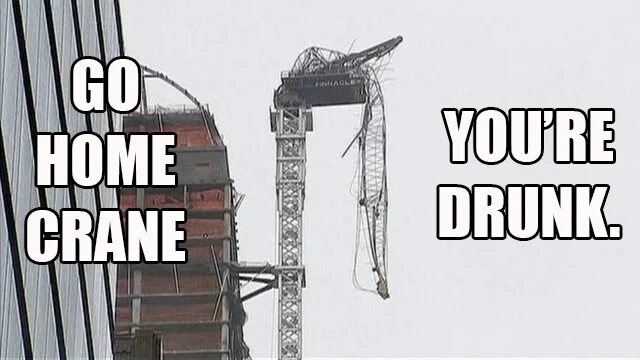 Drunk go home. Go Home you're drunk. Ю Крейн Мем. Crane funny. Meme Cranes Programming.