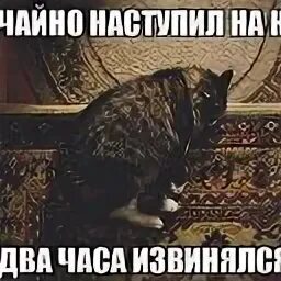 Решил извиниться