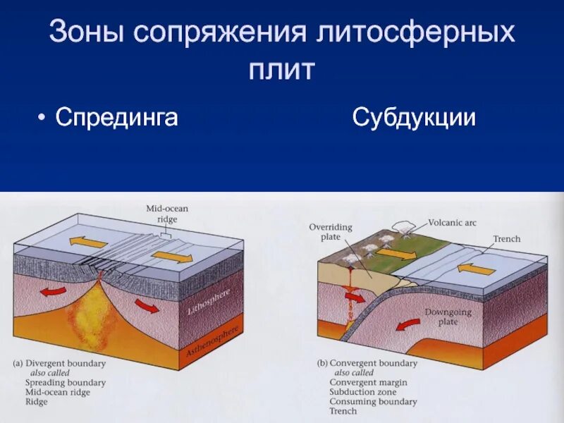 Литосферная теория. Движение литосферных плит субдукция Спрединг. Зона субдукции схема. Тектоника плит субдукция Спрединг. Спрединг субдукция коллизия.