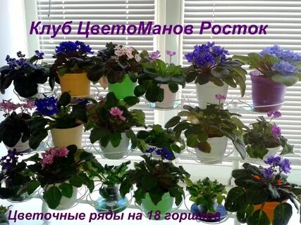 18 расставила