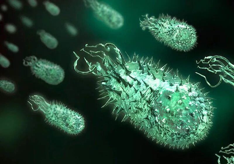 Заболевания простейших животных. Микробы и бактерии под микроскопом. Бактерии под микроскопом. Микроробы под микроскопом. Микроорганизмы под микроскопом.