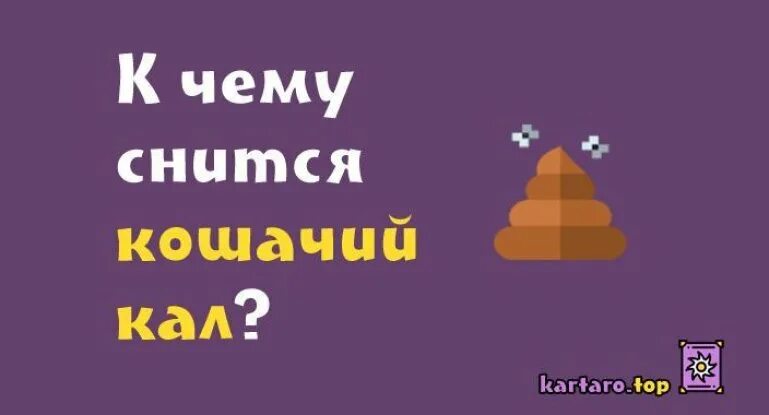 Увидеть какашки. Приснилось кошачьи какашки. К чему снится кошачье говно. Видеть кошачье говно во сне.