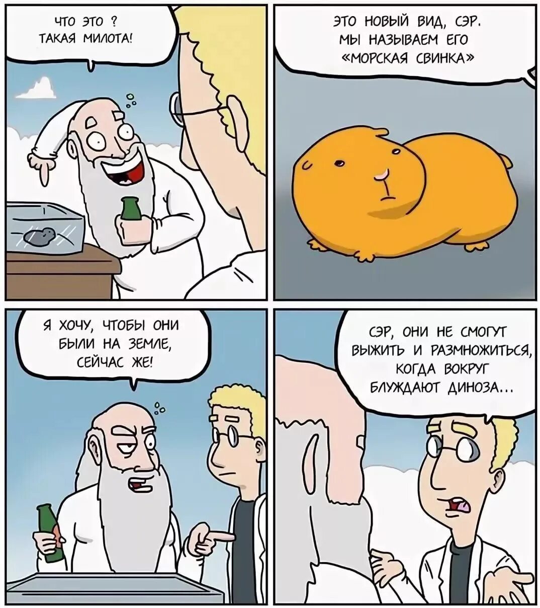 Динозавры вымерли прикол. Комикс бог создал динозавров. Попугаи и учеба мемы. Иисус на динозавре. Бог создал динозавров.