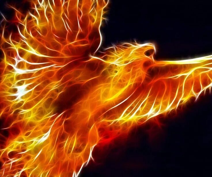 Phoenix spirit. Феникс из пепла восставший легенда. Феникс фото. Феникс из пепла восставший легенда. Огненный феникс дилюк.
