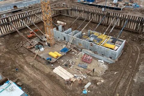 Циан амурский парк