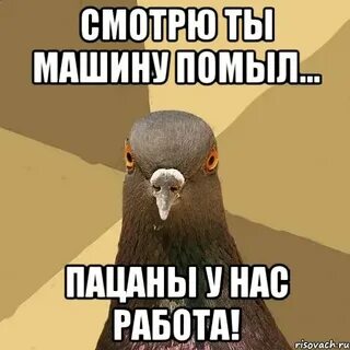 Ну ты и машина