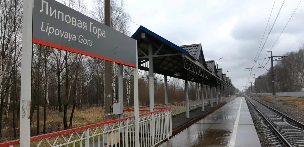 Станция липовая гора ярославль. Липовая гора ярославль. Парк победы ярославль липовая гора. Парк на липовой горе ярославль. Ярославль липовая гора фото.