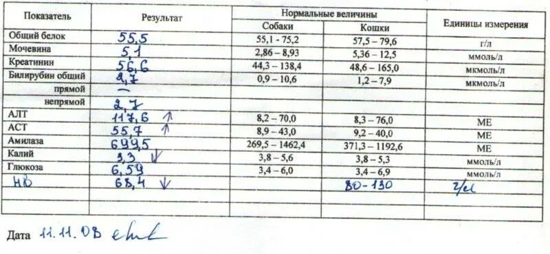 Анализ крови билирубин общий норма. Алт крови норма/АСТ норма. Биохимия крови билирубин общий норма. Биохимический анализ крови билирубин общий.