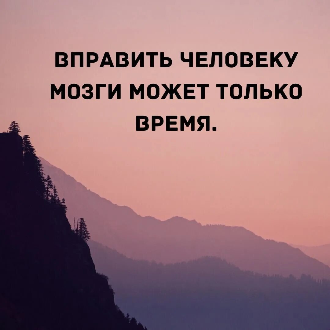Вправить мозги значение фразеологизма. Я бы начал ей мозги. Не выноси мне мозг. Профессор преображенский разруха не в клозетах а в головах. Мозг прикол.