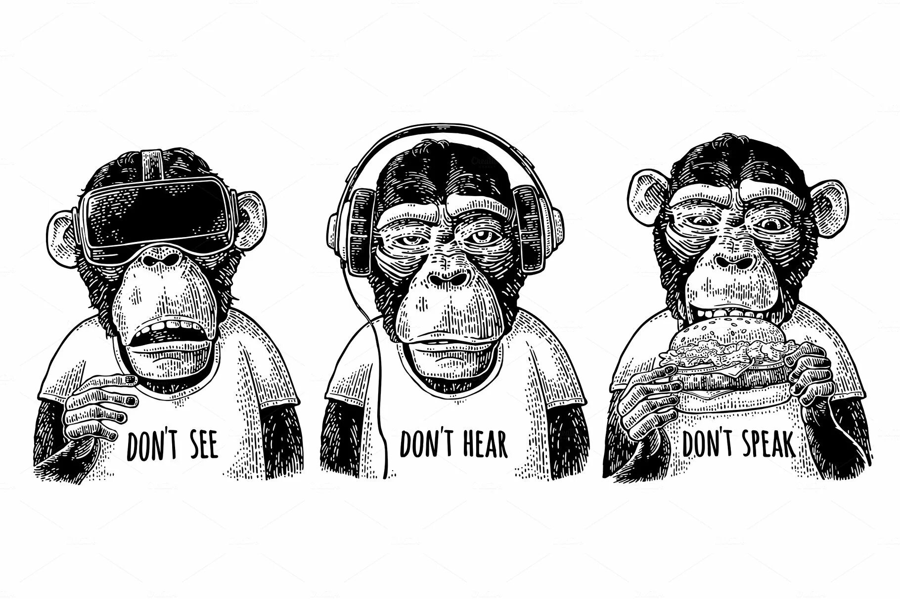 Обезьяны ничего не вижу. Обезьяны ничего не вижу не слышу. Три обезьяны не вижу не слышу не говорю. Картина обезьяна не вижу не слышу. Ничего не вижу не слышу не говорю.