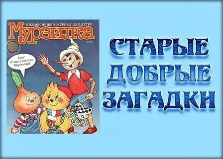 Спереди погладишь загадка