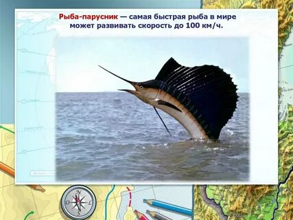 Скорость рыбы
