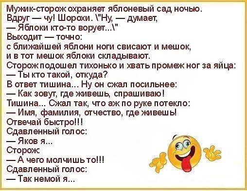 Сторож читать. Анекдоты про сторожей. Анекдоты про охранников. Анекдоты про охранников смешные. Шутки про сторожа.