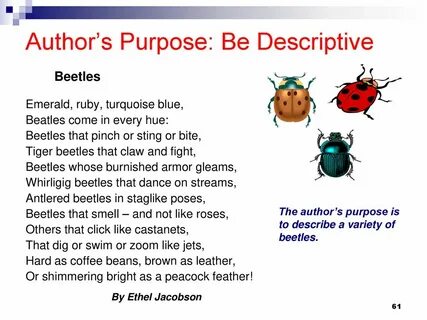 What is the author s