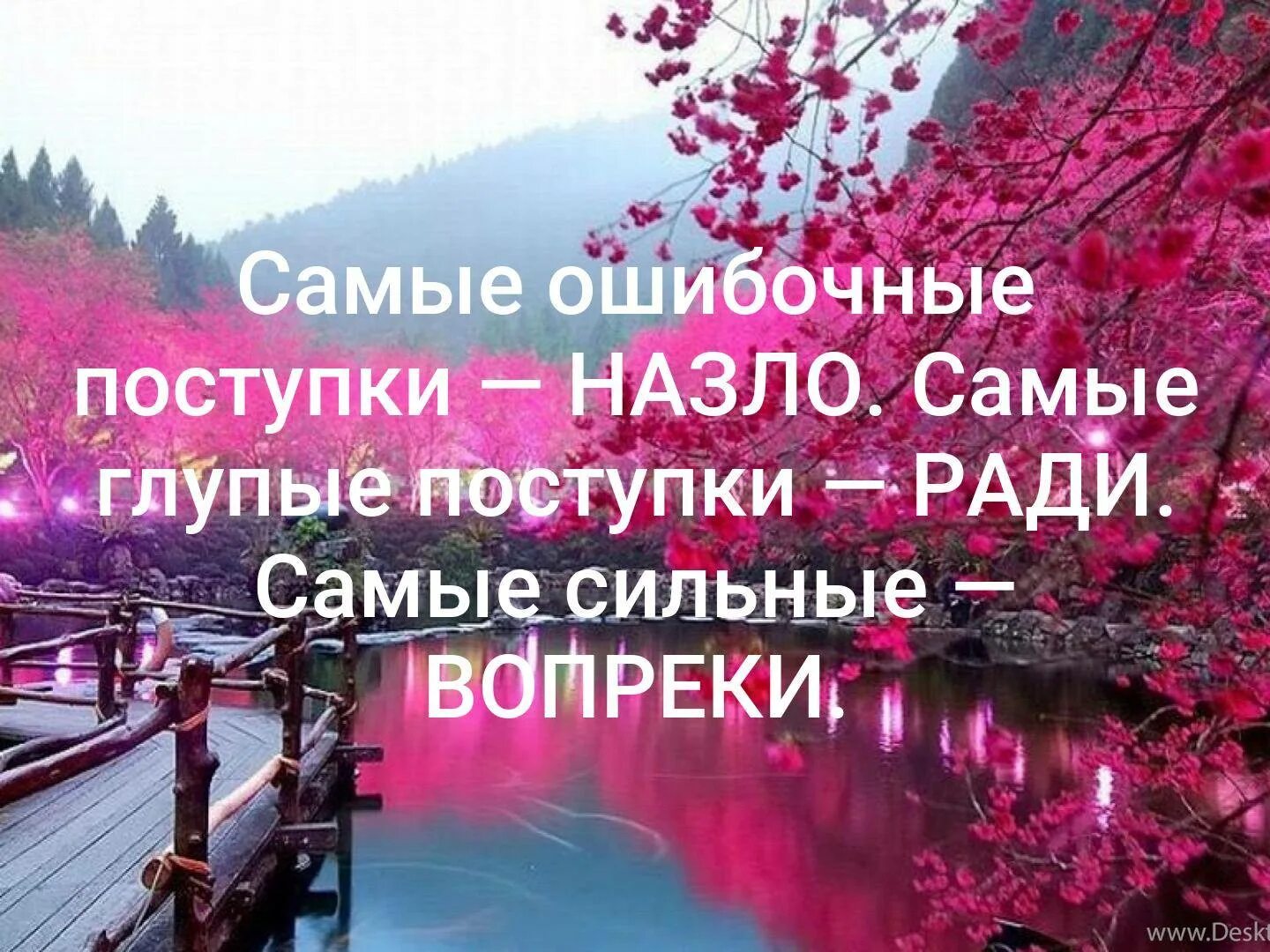 Какие глупые поступки. Самые ошибочные поступки. Самые ошибочные поступки назло. Самые глупые поступки назло. Самые сильные поступки вопреки.