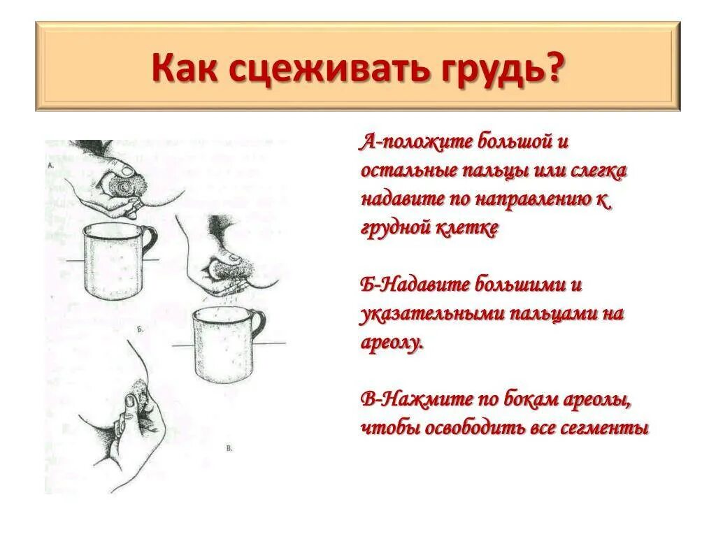 Сколько можно сцедить грудного. Как сцеживать молоко вручную. Как сцедить грудное молоко вручную. Как правильно сцеживаться руками грудное. Как правильно сцеживаться грудь руками.