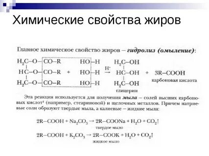 Жиры какой класс
