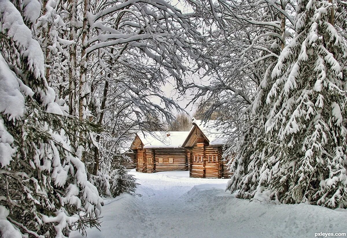 Сколько живет зима. Домик в зимнем лесу. Деревенский домик зимой. Зимний лес в деревне. Зима лес деревня.