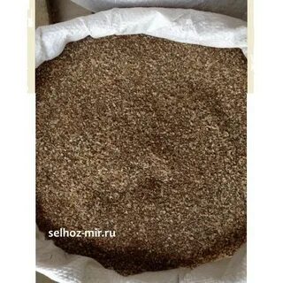 Ракушки для несушек