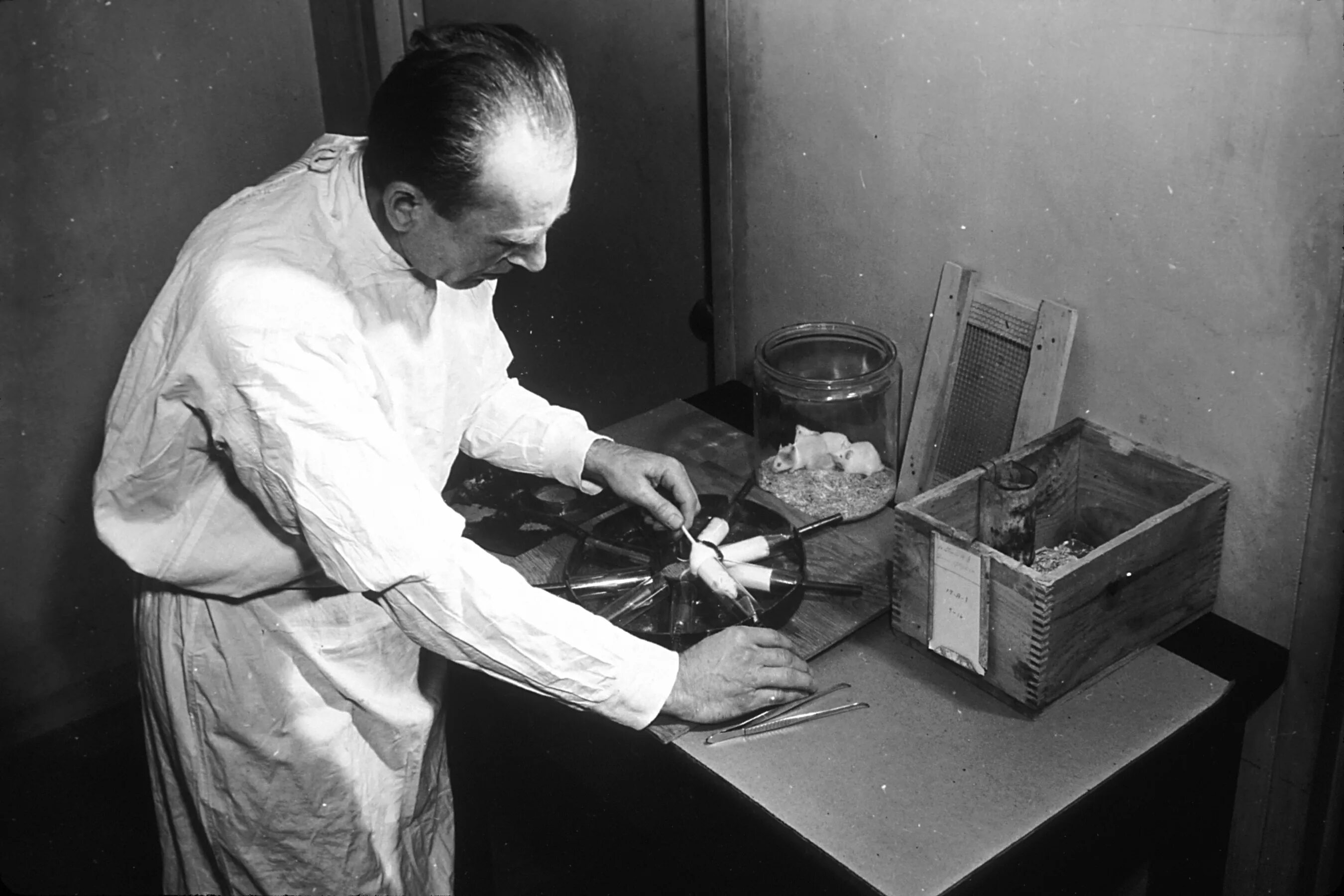 История открытия рентгеновского излучения. Самый радиоактивный человек в мире. Какие ученые проводили эксперименты радиации на себе. Советские химические лаборатории. Радиационный терроризм.