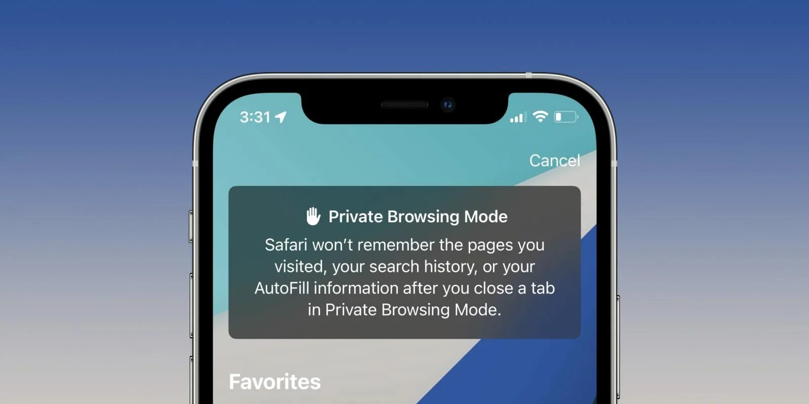 Safari ios 18. Safari ios 15. режим инкогнито в сафари ios 15. сафари iphone ios 16.