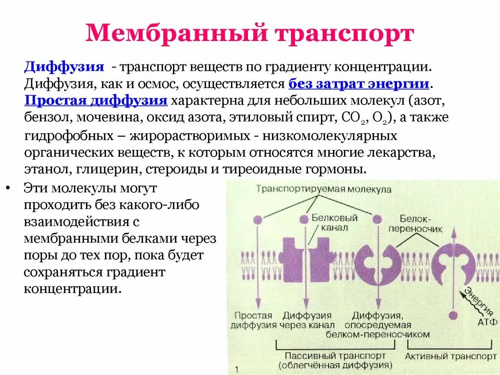 Транспорт белка происходит. Транспорт через мембрану клетки по градиенту концентрации. Пассивный транспорт веществ через мембрану клетки происходит. Мембранный транспорт веществ диффузия. Пассивный и активный транспорт веществ через мембранные структуры.