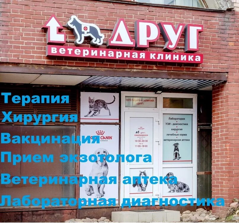 Ветеринарная клиника друг. Ветеринарная клиника друг Солнечногорск. Ветеринарная клиника Казакова 1 друг. Ветклиника Солнечногорск. Центр друг работа