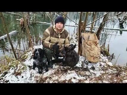 Бивер крик приманка