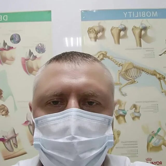 доктор вет сарапул. доктор вет сарапул. доктор вет комсомольск на амуре. ветеринарная клиника доктор вет таганрог. доктор вет сарапул.