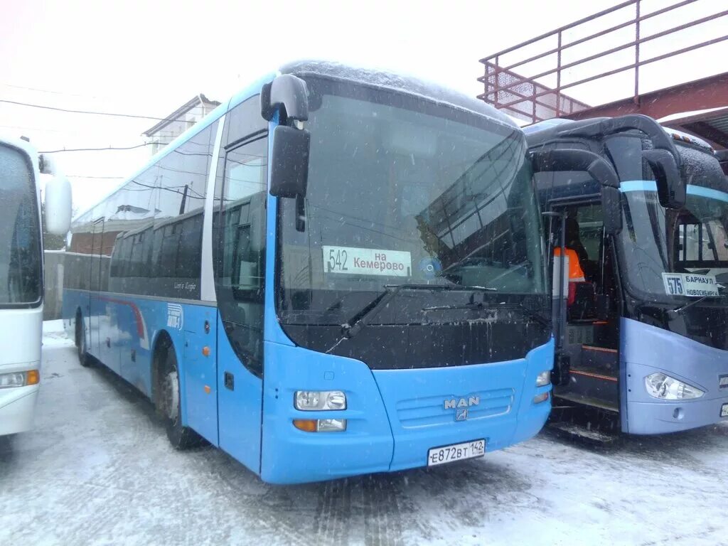 Автобус Новосибирск Барнаул. Автобус Барнаул. Барнаульский автобус. Барнаул автовокзал автобусы. Новосибирск автобус ру