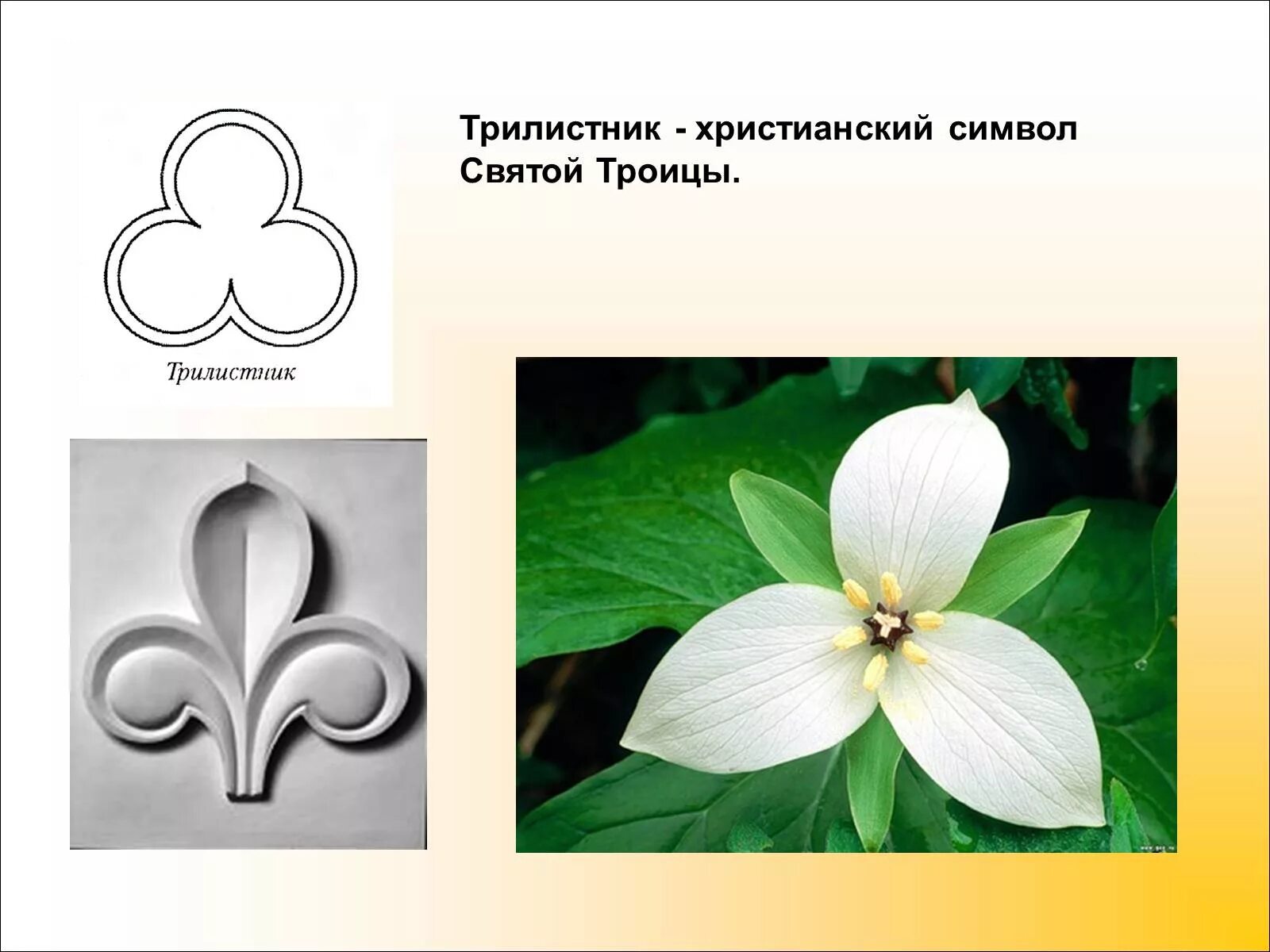 Символы листа значение