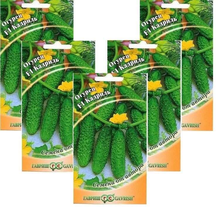 Огурец кадриль. Огурец кадриль. 1+1. Огурец кадриль f1 отзывы. Семена гавриш 1+1=3 огурец f1 изумрудные сережки корнишон 20 шт.