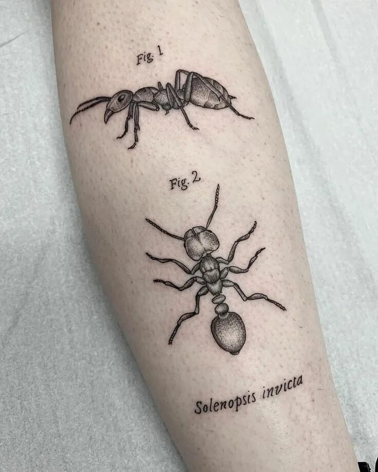 Ant ink