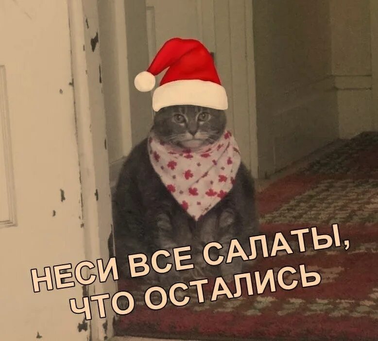 30 го января. Неси салат кот мем. мемы про новогодние салаты. 1 января приколы. смешной январь.