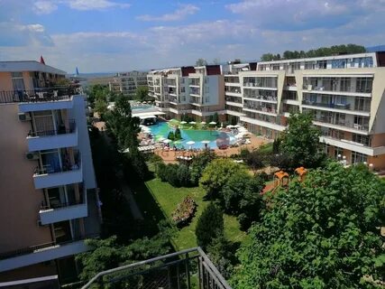 Камелия 2