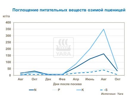Поглощение питательных веществ