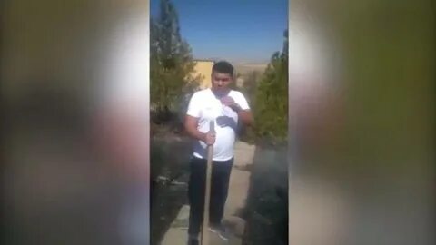 Ассасин спас бабушку от жирного