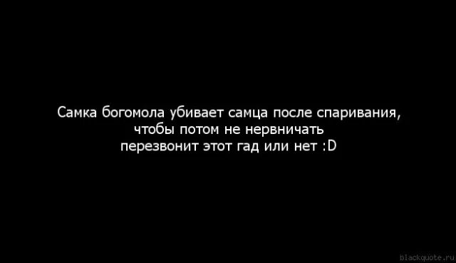 Самки богомолов съедают самца после спаривания. Самка богомола съедает самца после спаривания.