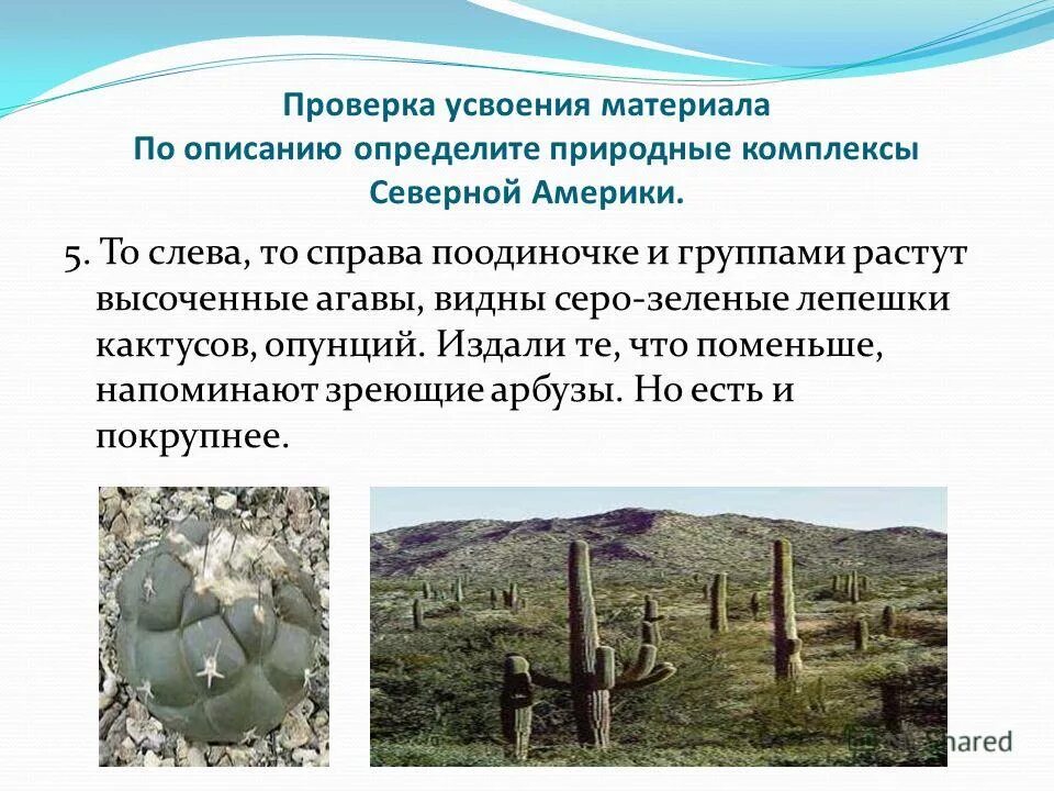 Определи по описанию о какой природных зонах идет речь таймырский. Ориентирование на местности по природным признакам. Таймырский природная зона. Способы ориентирования по местным признакам. В какой из указанных природных зон могли быть сделаны.