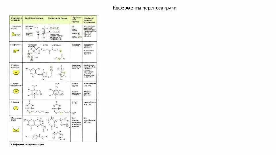 Коферменты витаминов таблица. Коферменты таблица биохимия. Классификация коферментов биохимия таблица. Таблица формулы коферментов. Description ru укажите группу переноса en loginperenosgroup