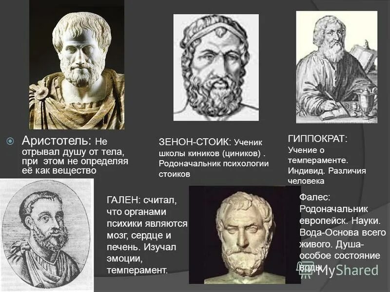 психологическая теория аристотеля. психологическая теория аристотеля. психологическая теория аристотеля. психология по аристотелю. аристотель темпераменты.